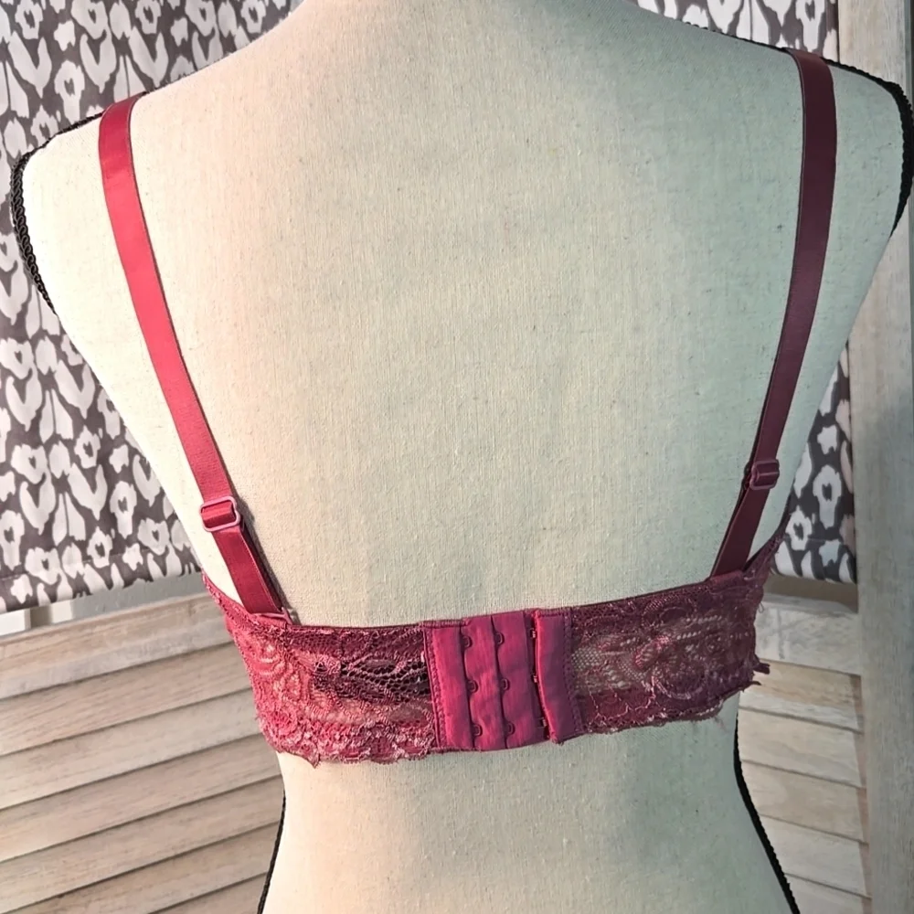 NWOT Lace Underwire Bra Embroidery Wine 3 Hook Adjustable 38D